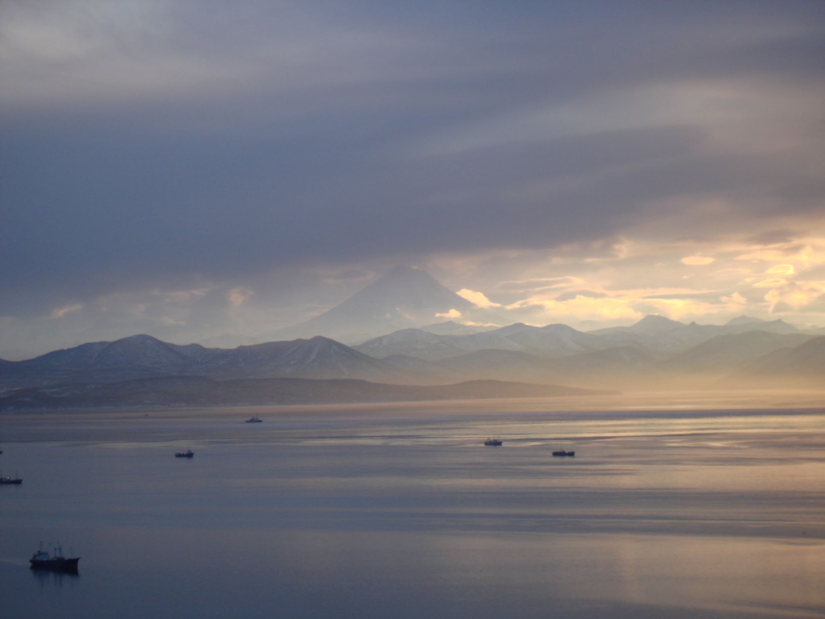 ���������