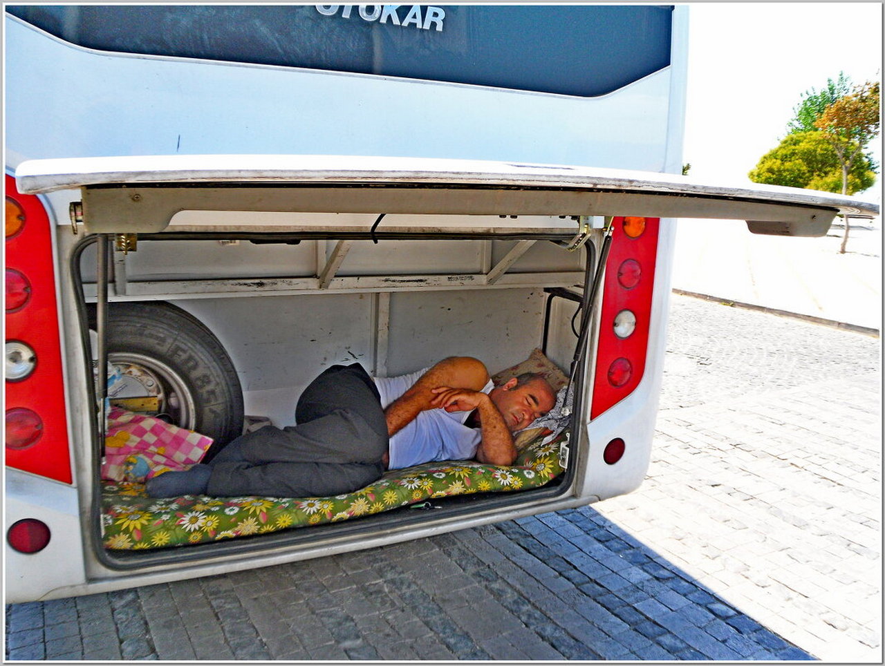 ���������