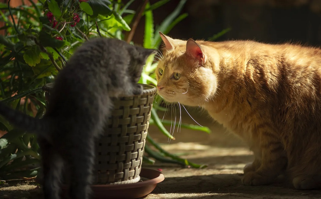 ���������