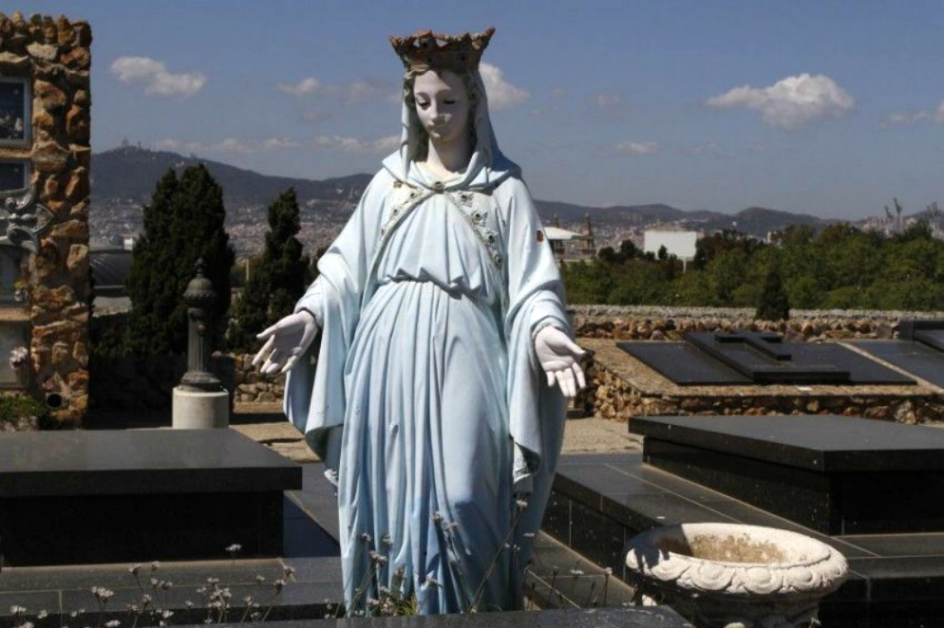 ���������