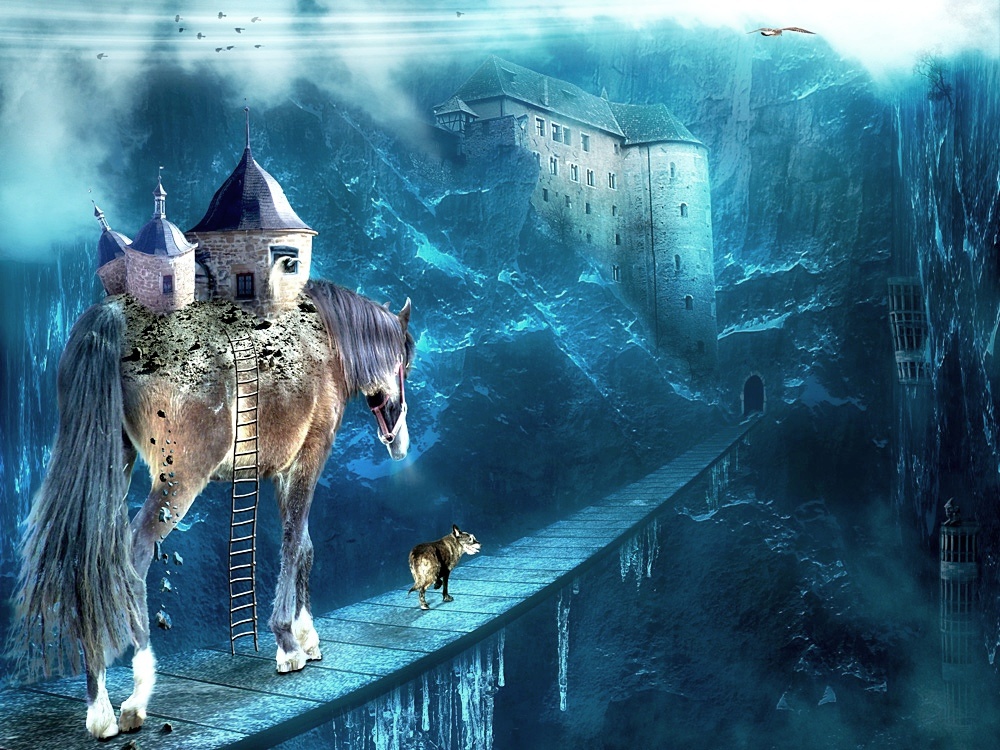 ���������