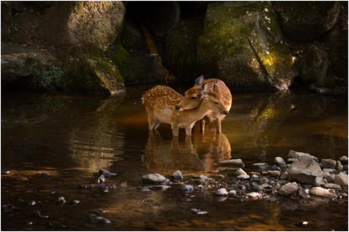 ���������