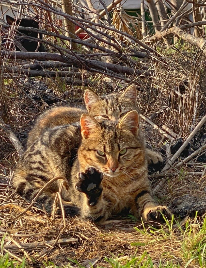 ���������