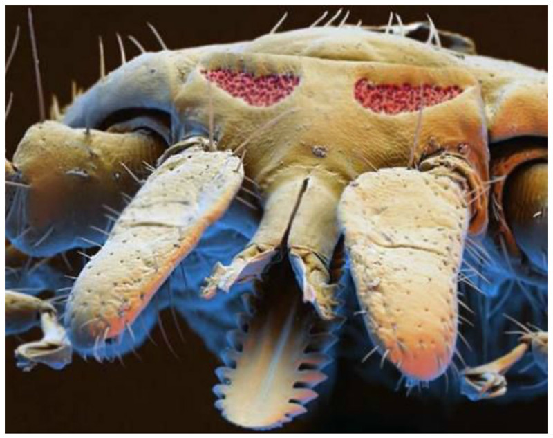 ���������