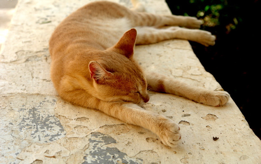 ���������