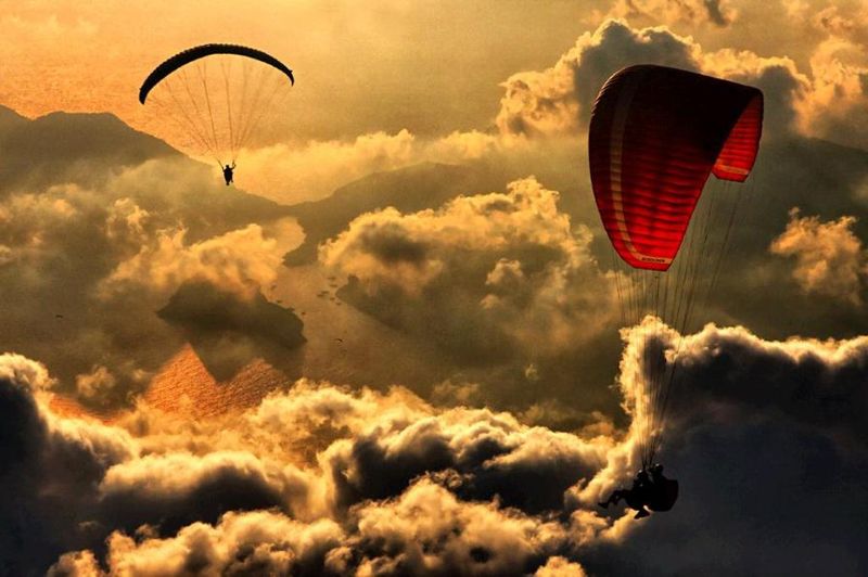 ���������