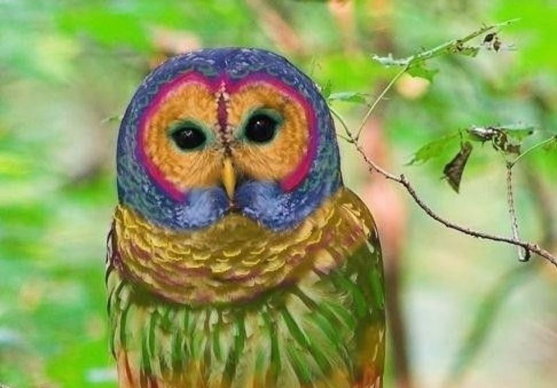 ���������