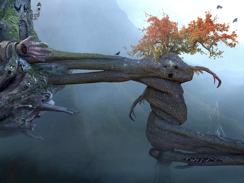 ���������