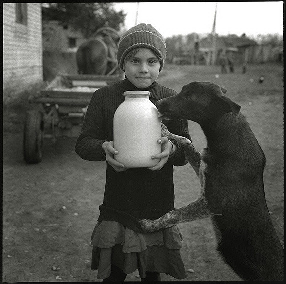 ���������