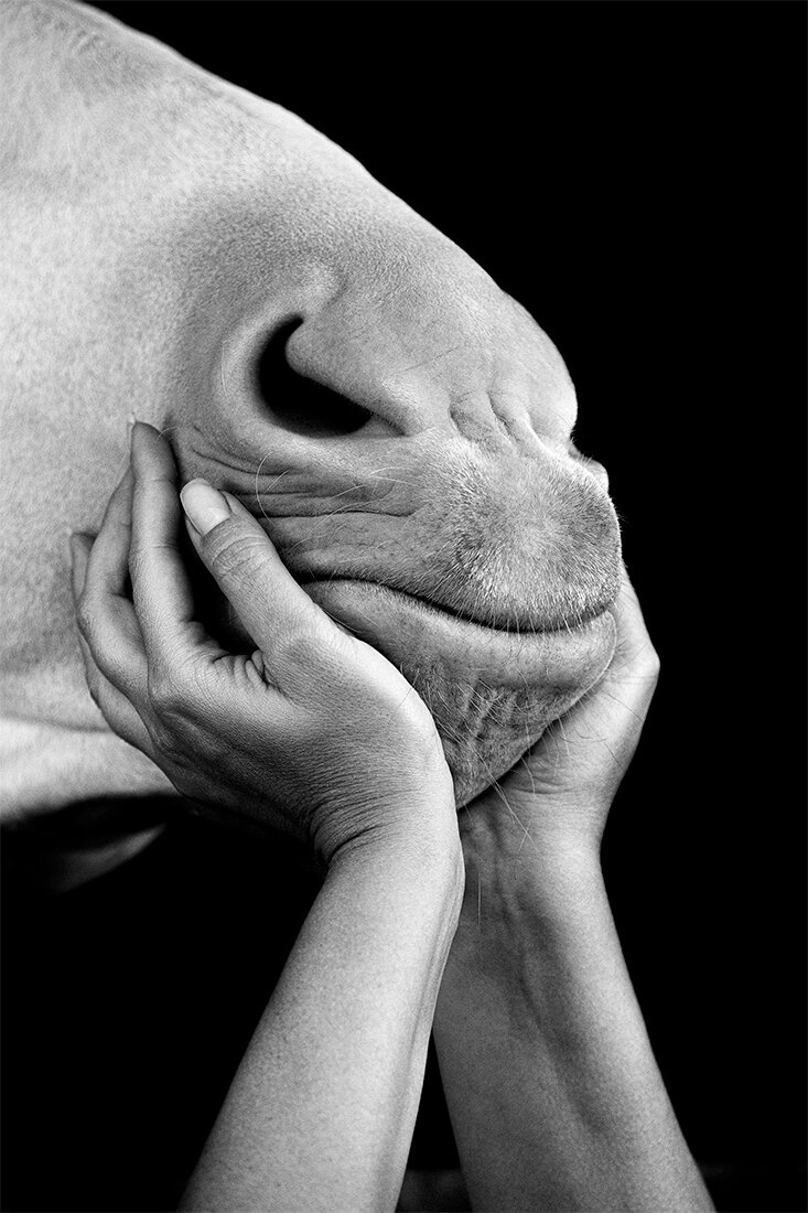 ���������