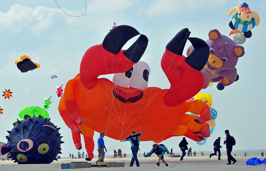 ���������