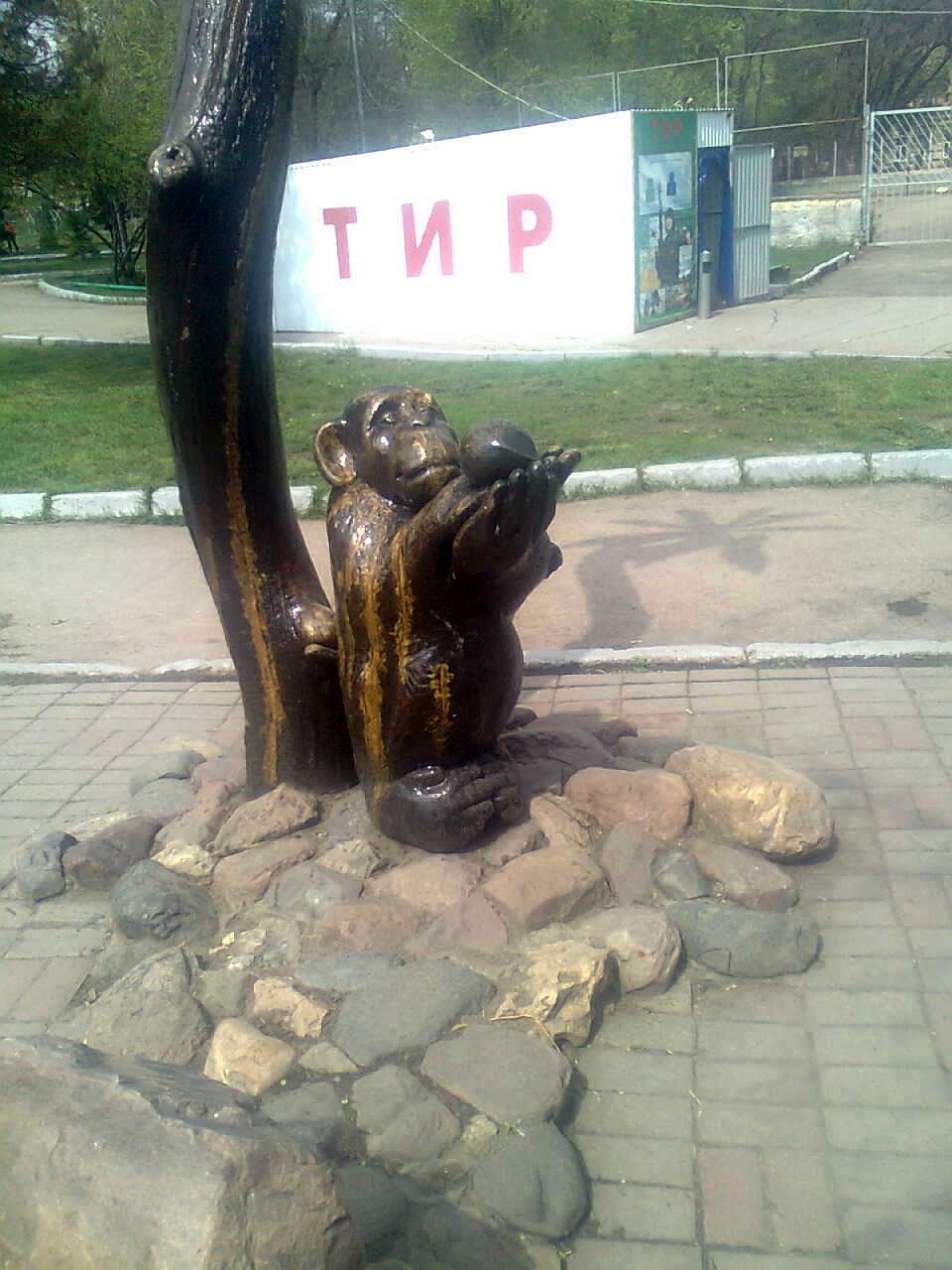 ���������