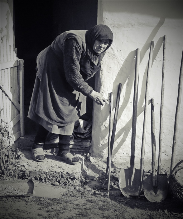 ���������