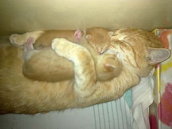 ���������