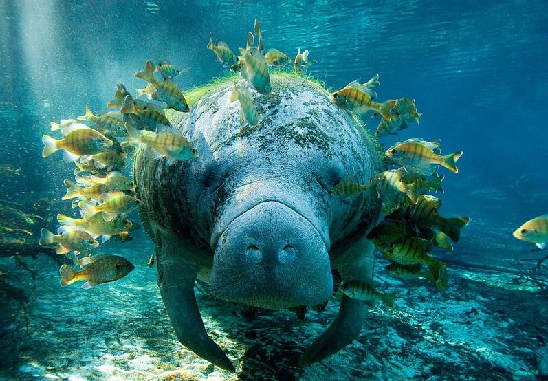 ���������