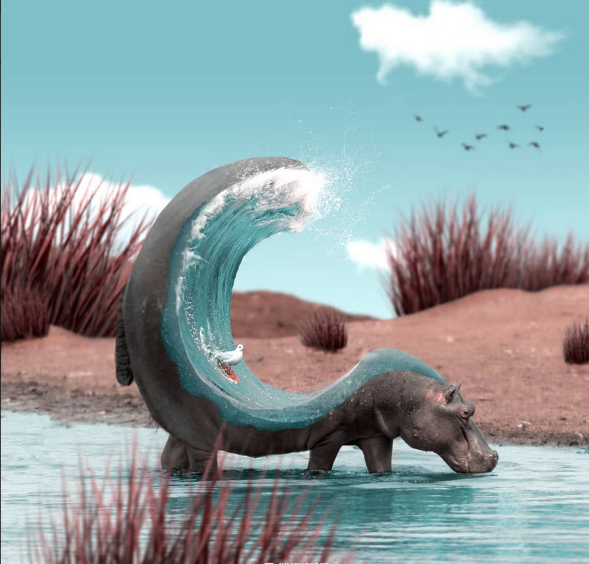 ���������