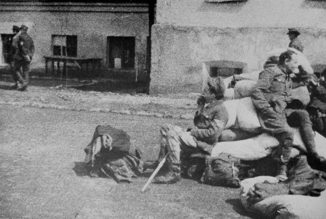 ���������