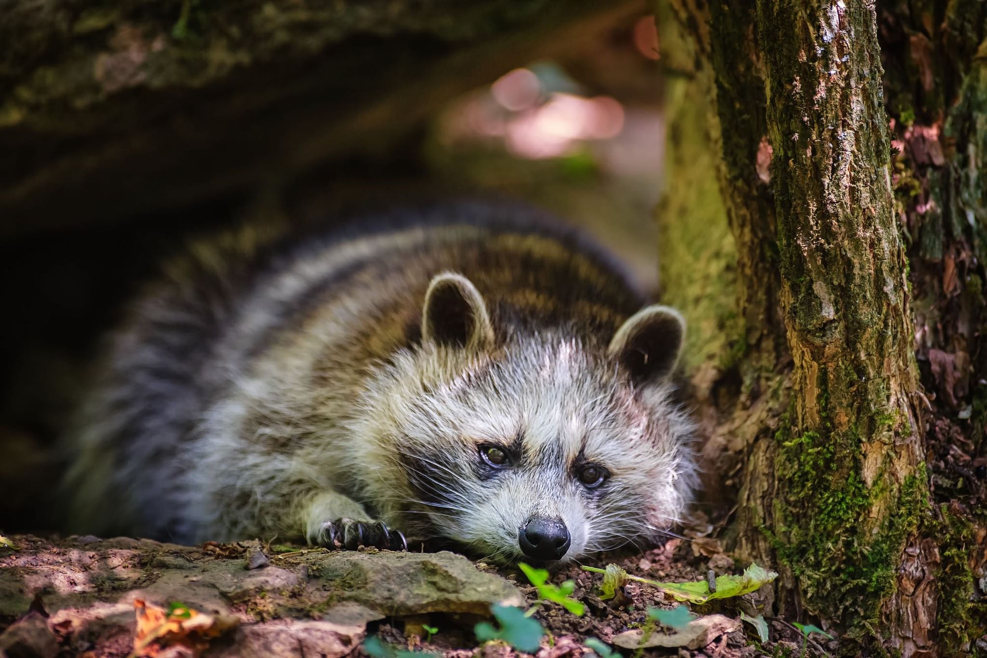 ���������