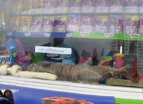 ���������