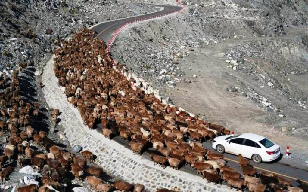 ���������