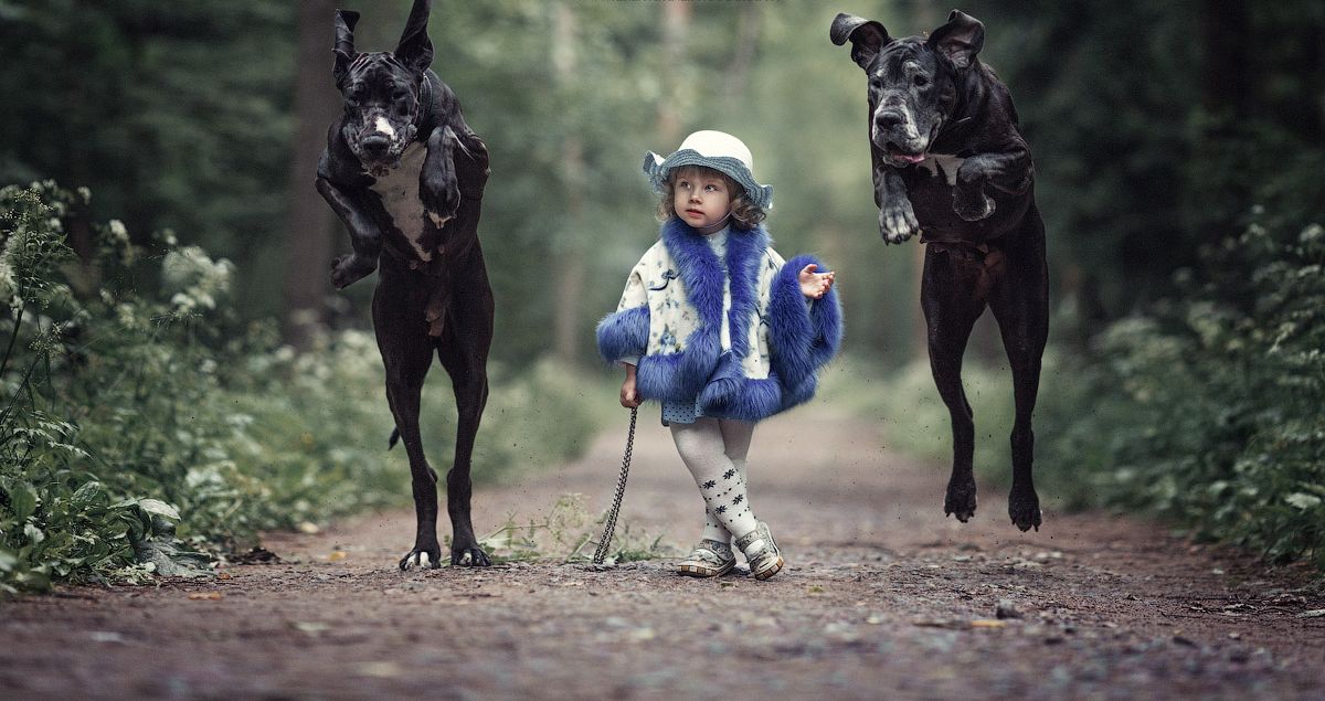 ���������