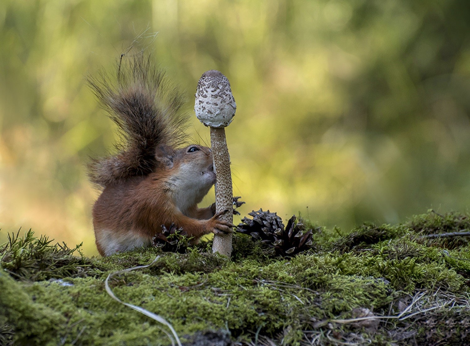 ���������