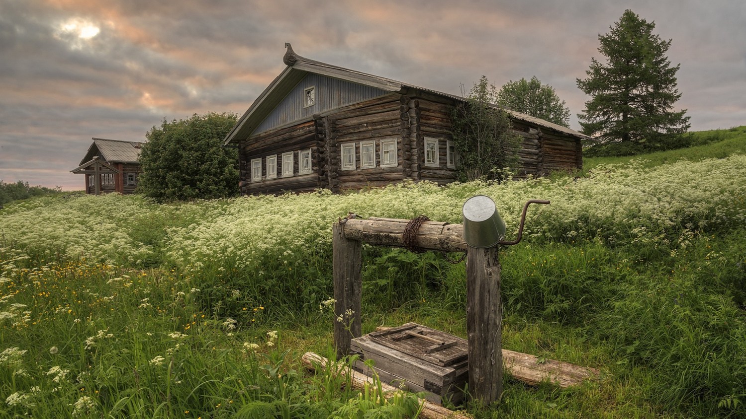 ���������