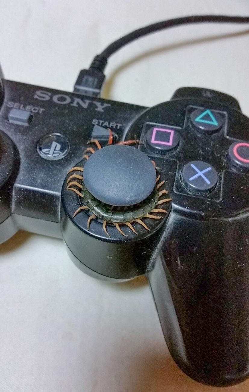 ���������