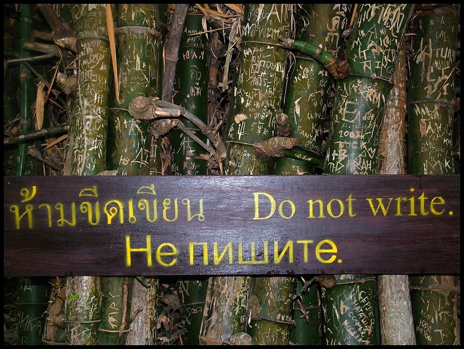 ���������