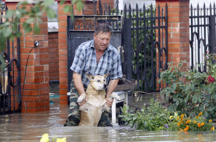 ���������