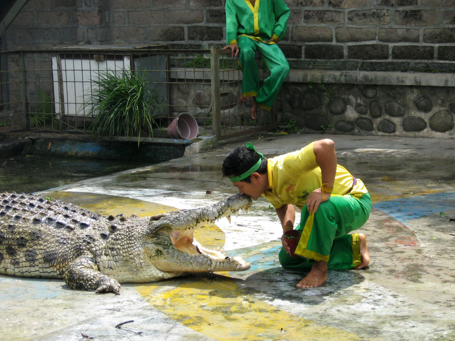 ���������