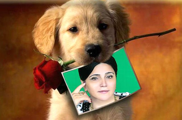 ���������