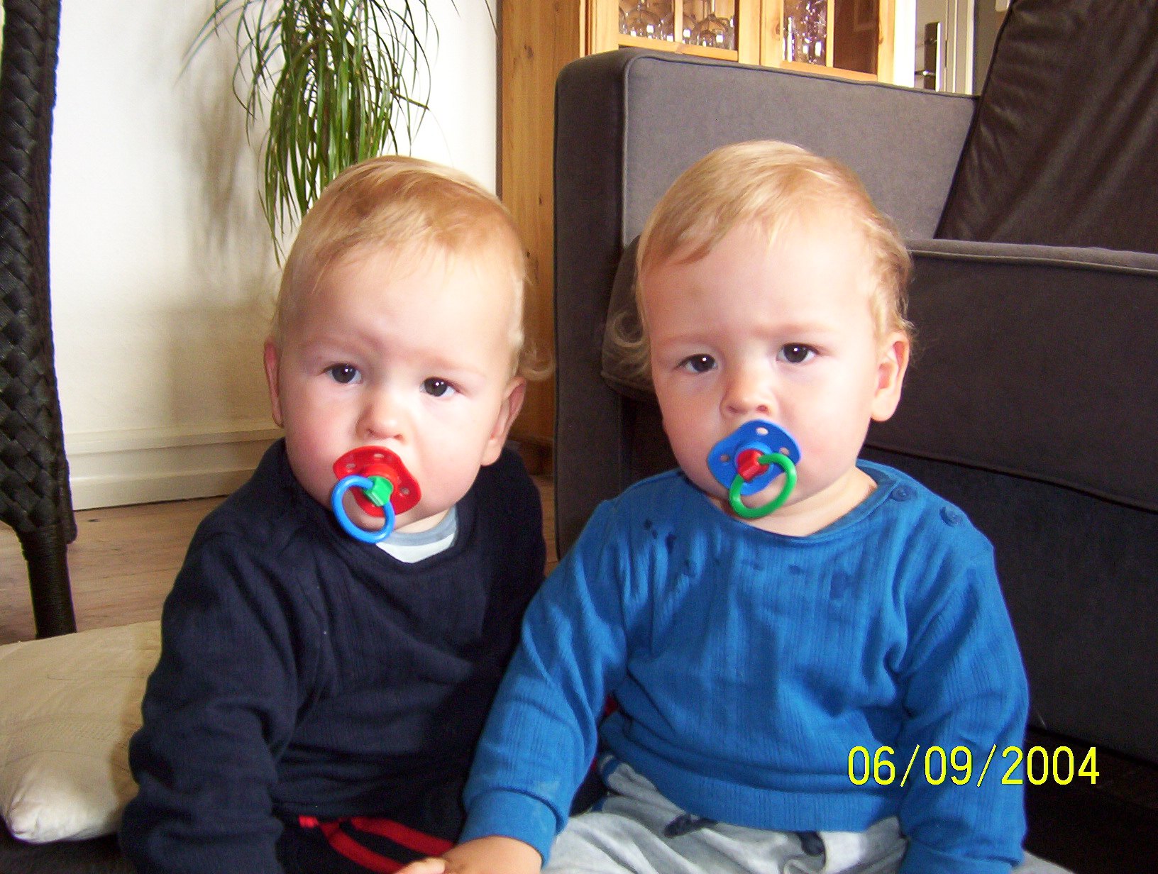 ���������