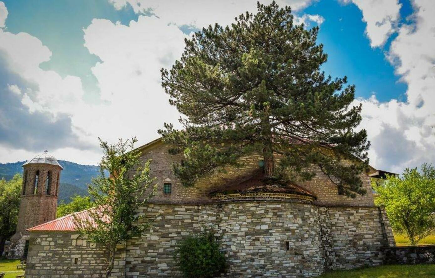 ���������