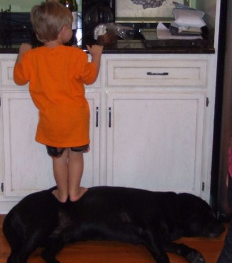 ���������