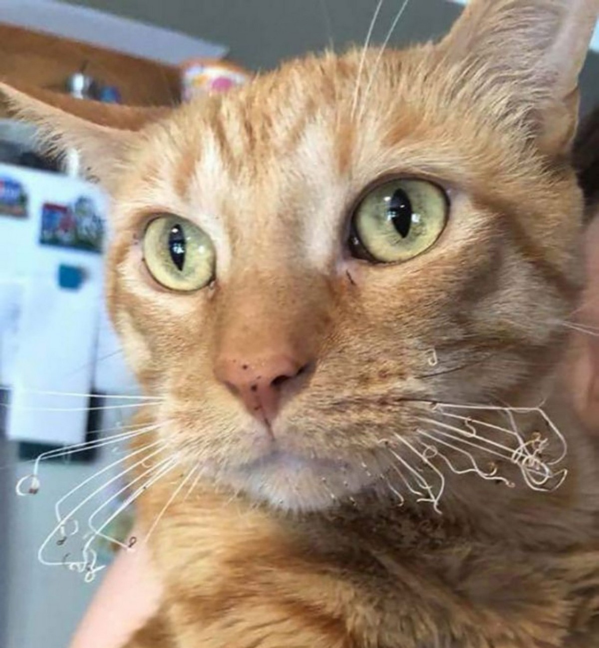 ���������