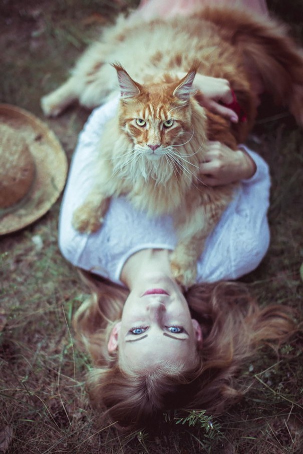 ���������