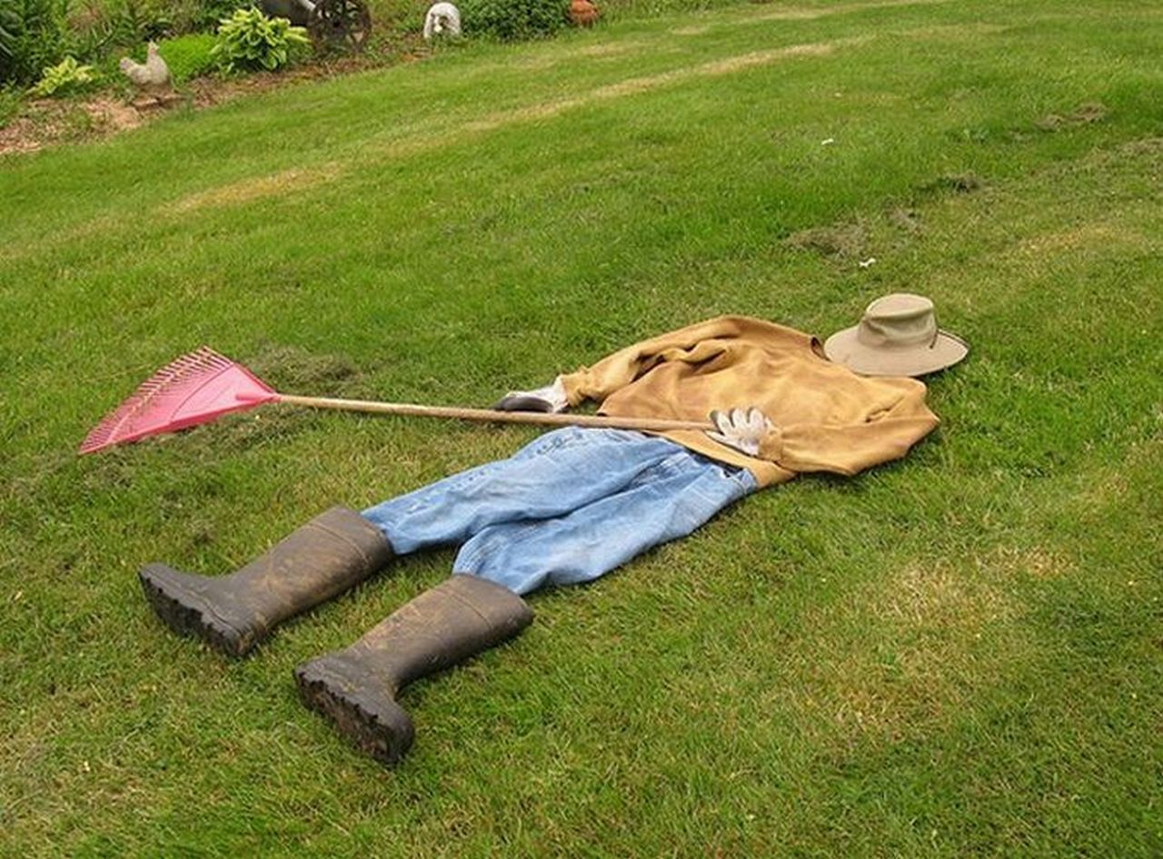 ���������