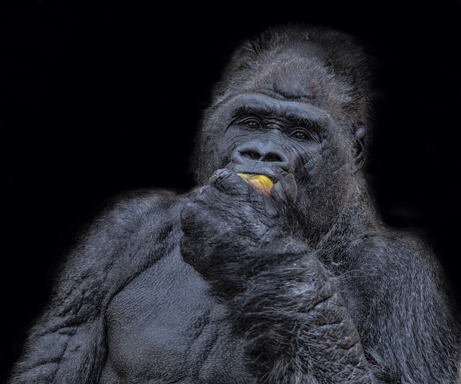 ���������