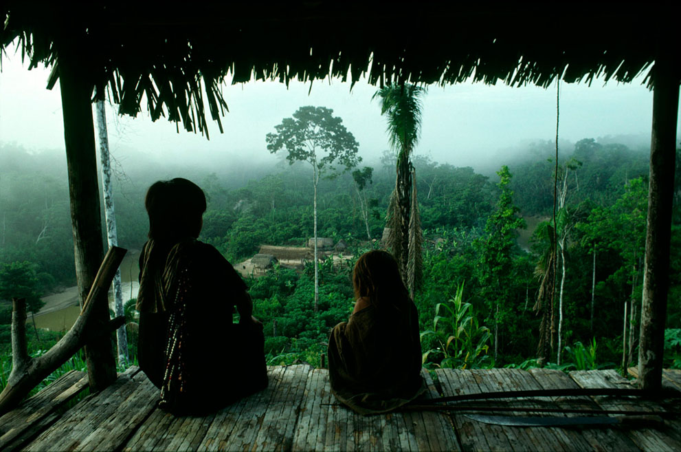 ���������