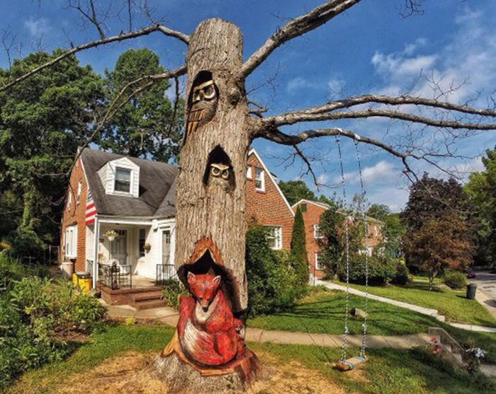 ���������