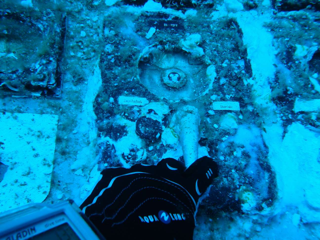 ���������