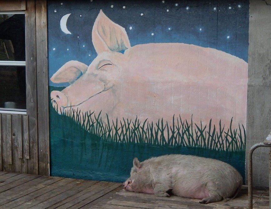 ���������