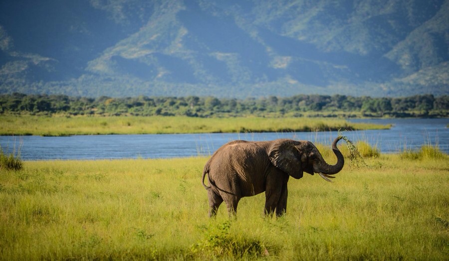 ���������