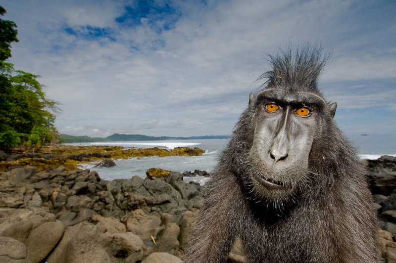 ���������