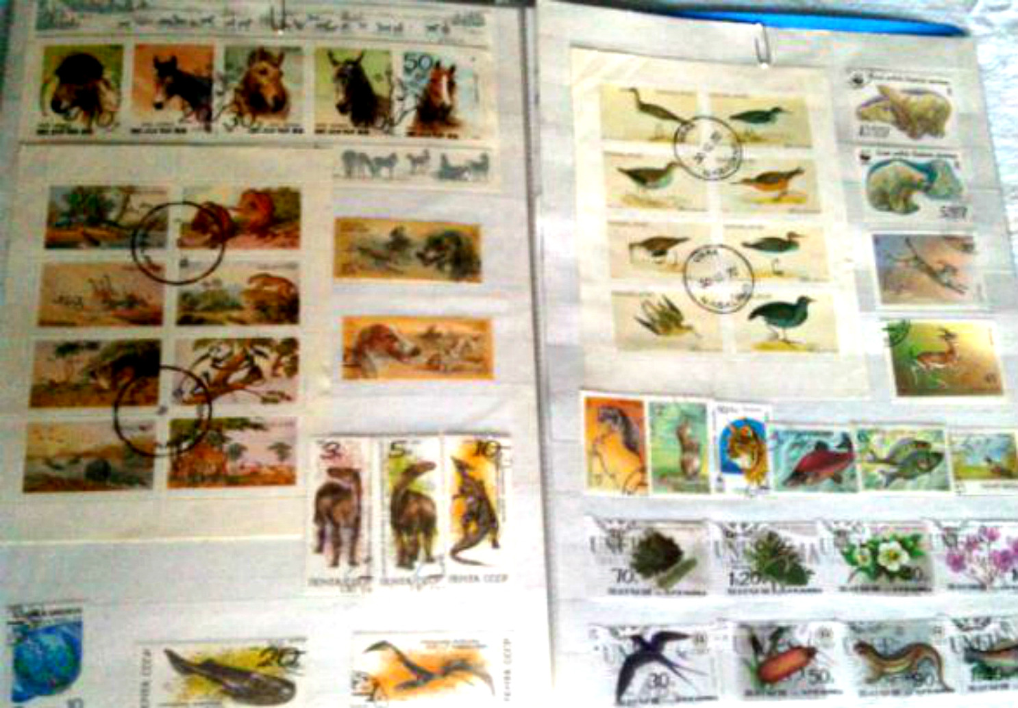 ���������