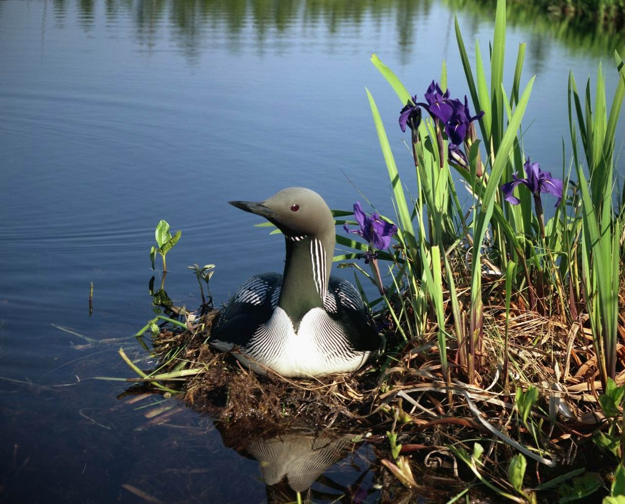 ���������