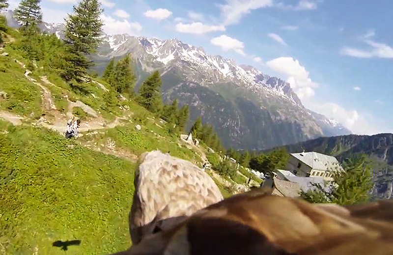 ���������