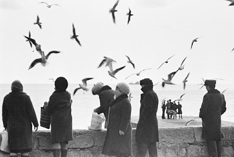 ���������