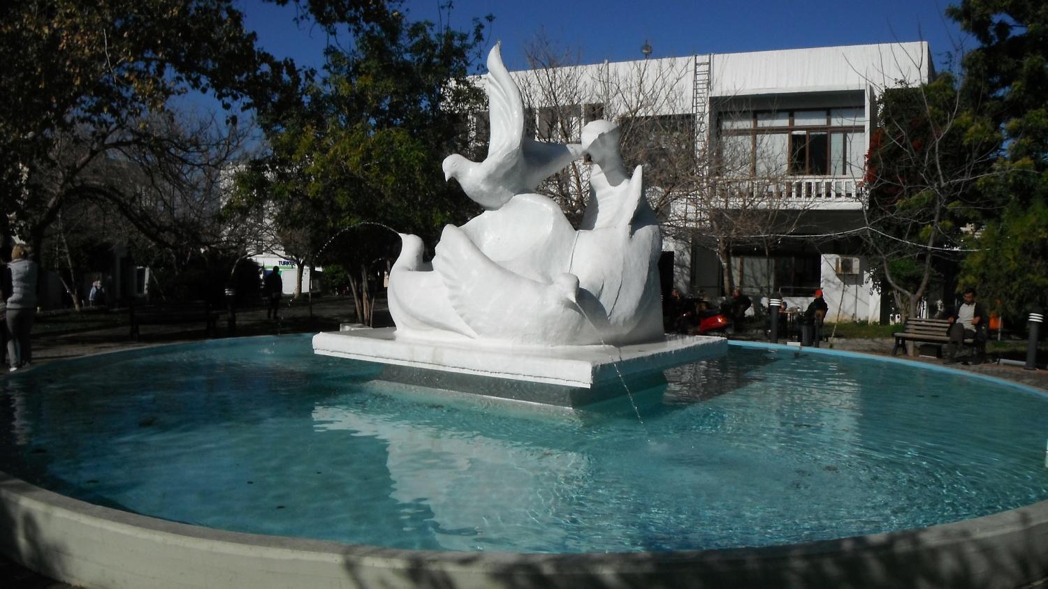 ���������